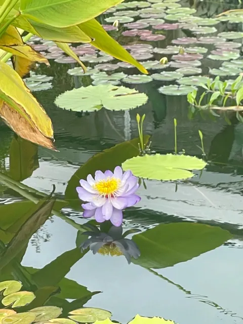  Jena | Don't Miss the Cosmic Journey at Zeiss Planetarium! 🌌✨