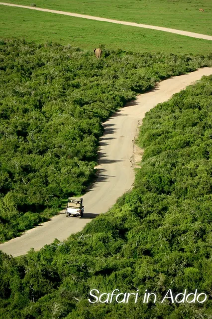 Elephant National Park