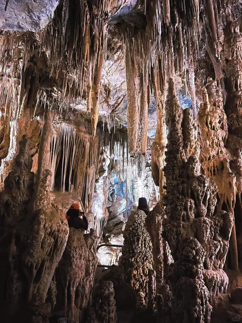 📍Great Basin NP｜Complete One-Day Travel Guide 🗺️🚗