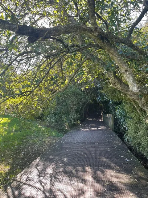 Auckland Cycling Adventure | Rosedale to Unsworth 🚴‍♂️