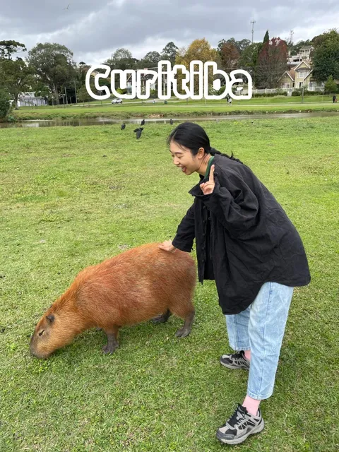 Brazil｜Curitiba｜The Most Livable City in My Heart