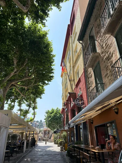 🇬🇧 Hidden Gem for Int'l Students: The Ultimate Perpignan Guide 🇫🇷