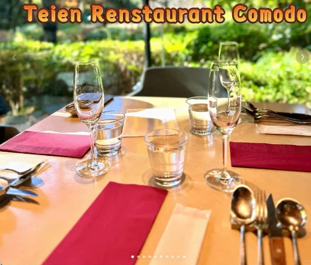 Tokyo Metropolitan Teien Art Museum | Italian Restaurant 🍴 Comodo