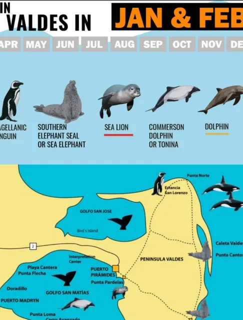  Argentina's "Animal Paradise" Peninsula - Valdés Peninsula​​