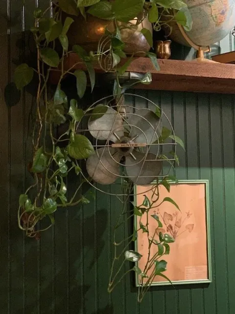 Cozy Spot in Charleston! ☔️