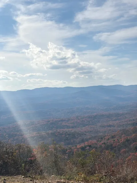 Amicalola Falls 🐕‍🦺 | Mountain Day with My Pup
