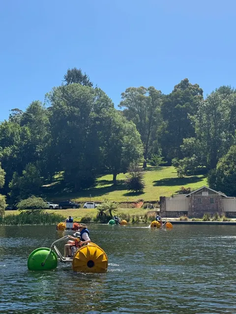 The steam train in Melbourne Park