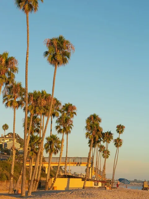 Southern California San Clemente | 🍊