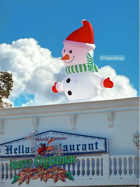 Tampa | Florida Travel Diary 🎨