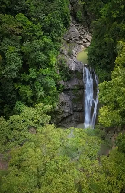 La Tigra National Park | Honduras' Cloud Forest Sanctuary
