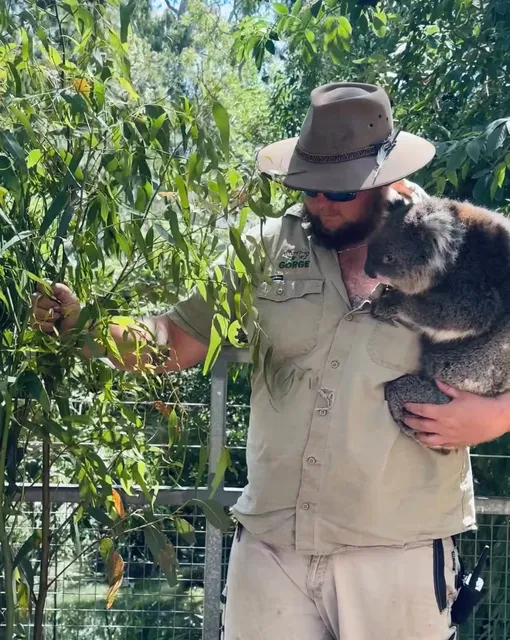 Top 5 Free Beaches in Ad 