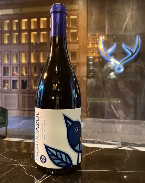 A Refined Take on Modern Mexican Cuisine