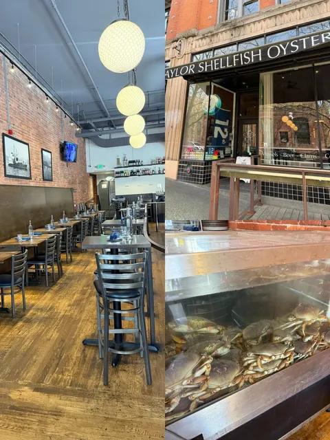  Seattle's Must-Try Century-Old Oyster Bar! 🦪✨