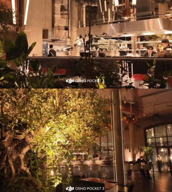 St. Petersburg’s Vibe Spot – Restaurant by Day, Bar by Night 🍴