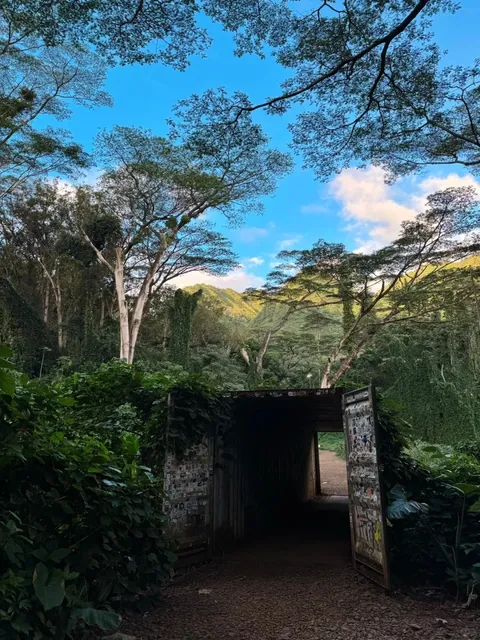 Honolulu🌺 Hawaii | An Avatar-like Fairytale Trail 🌴🌳