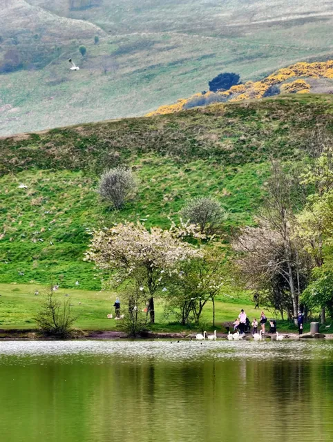  Edinburgh's Most Stunning Spring Escape! ⛲️🌸​​