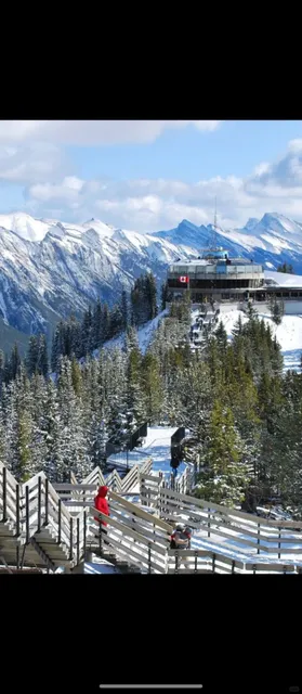 🚡 Banff Sulphur Mountain Gondola: A Sky-High Adventure with 50% Off!