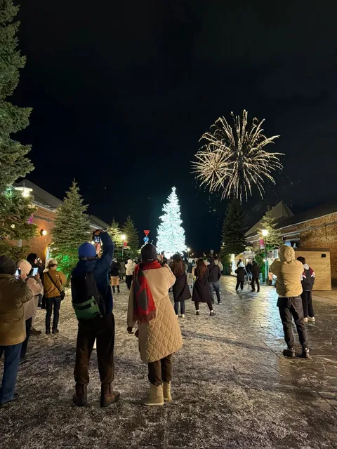 🔔 Hakodate! Ultimate Christmas Atmosphere 🎄