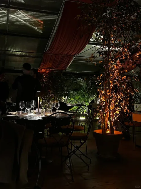 Serre Torrigiani | A Secret Garden Within the City Walls 🪴✨