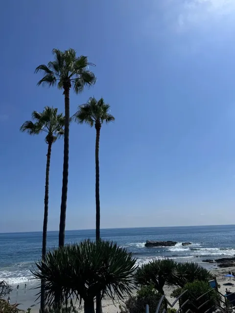 🌊 Laguna Beach — My #1 Beach in LA! 💙