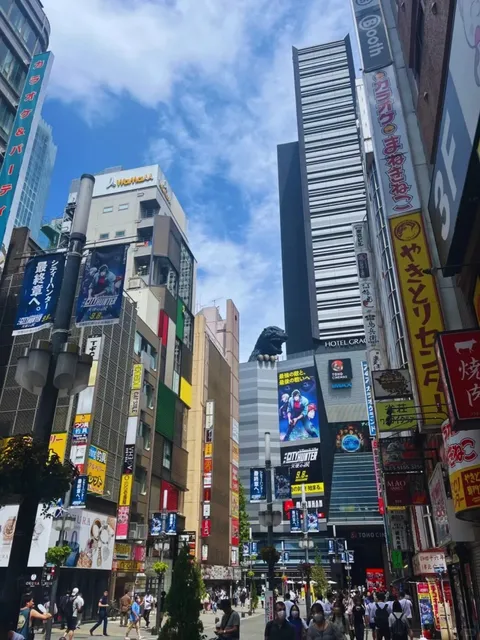 🗾 One-Day Tour Route in Tokyo