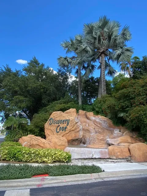  Orlando’s Newest Marine Paradise: Discovery Cove’s Ultimate Guide（1）