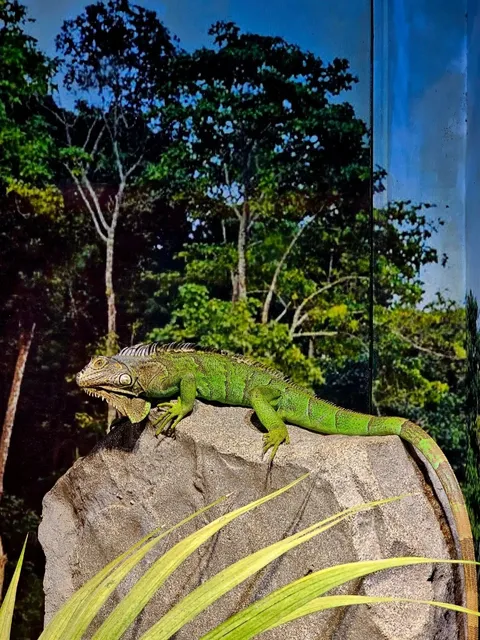 Diving into Livorno’s Underwater Wonderland! 🌊🐠