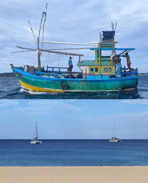 Trincomalee | Shiva and Whales