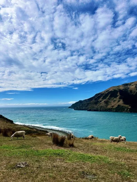 🇳🇿 Nelson – The Final Stop in New Zealand! 🏁✨