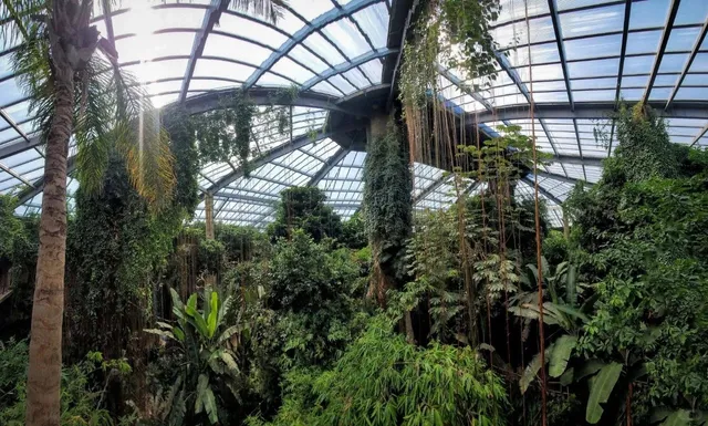 Omaha  Henry Doorly Zoo’s Indoor Rainforest Exhibit 🌿🦜