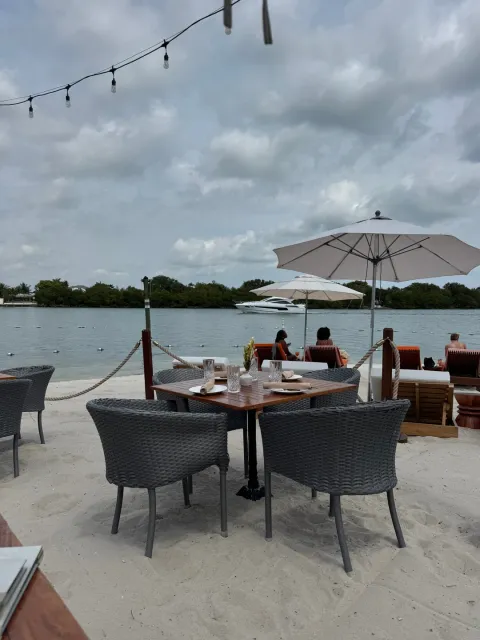 An Amazing Experience in Miami! 🌟🍽️🌴