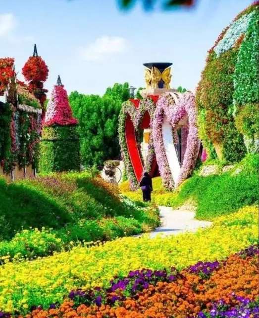 Amazing sea views in Dubai Miracle Garden