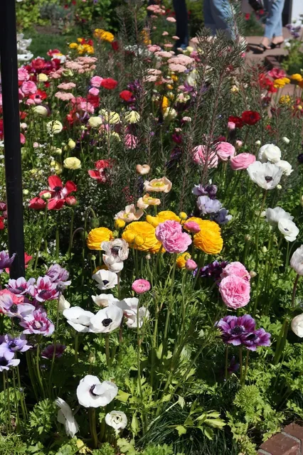 Newport Beach: A Happy & Beautiful Brunch Day 🍳✨