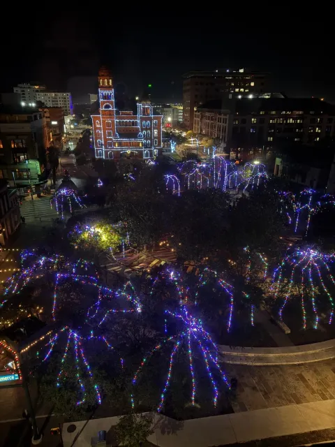 The staff here are absolutely amazing! ✨