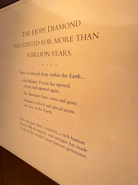 Washington Natural History Museum Tips