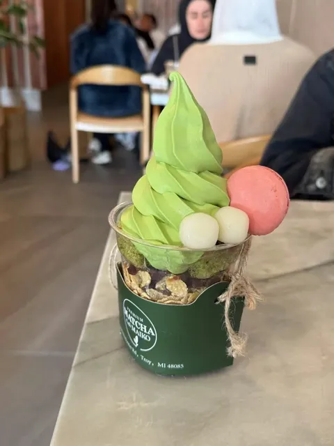 Ann Arbor Student’s Food Guide to Troy 🍜🛒🍵