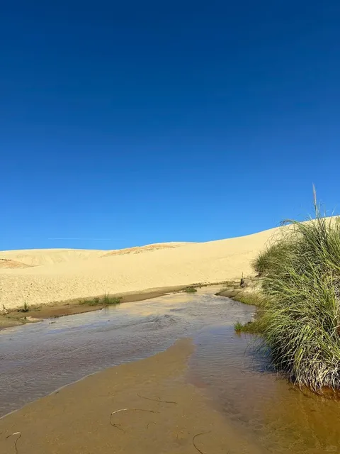 🚗 North Island Road Trip: WHV Adventure!