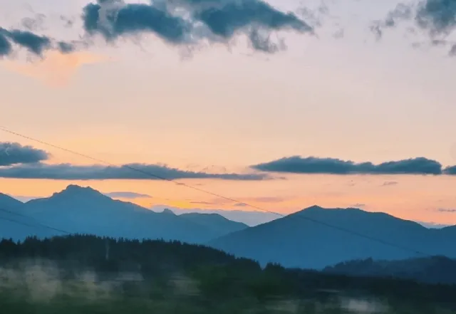 Slovakia Self-Drive Guide | Bratislava's Blue Church & CulinaryWonders