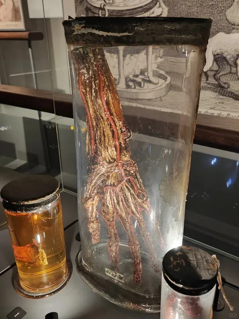 🇬🇧 "Bones, Flesh & All: This Museum is WILD!" 🦴💀