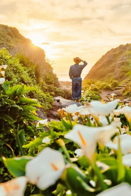 Ultimate Road Trip Guide to  Highway