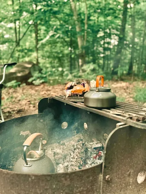 Episode Four: Rockwood Conservation