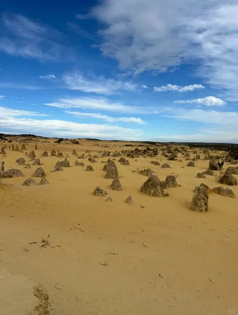 s Perth Worth Visiting? 