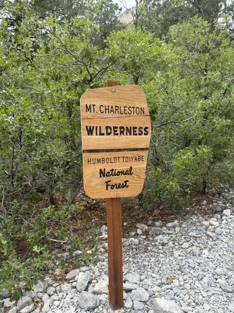 Escape the Vegas Heat: A Cool Mountain Getaway Just 1 Hour Away! 🚗🌲✨