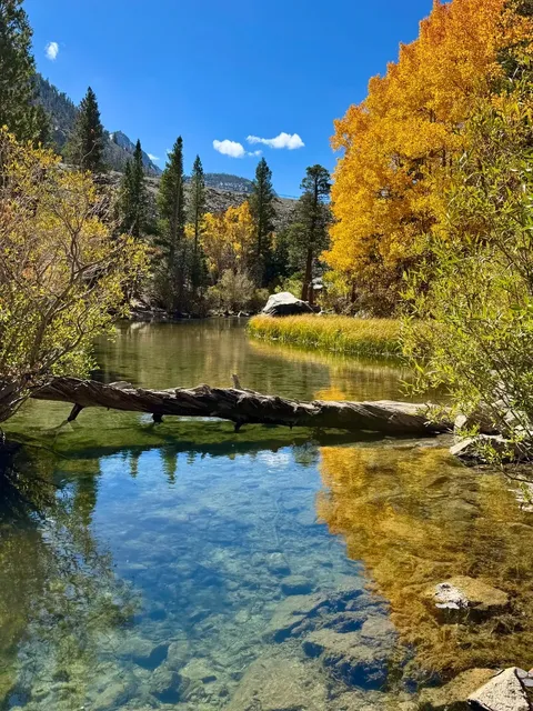 California Highway 395 Autumn Tour 🍂 Lake Sabrina