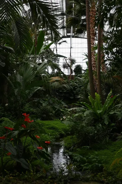 🇩🇪 A Plant Lover's Paradise: Frankfurt Palmengarten 🌿🌴