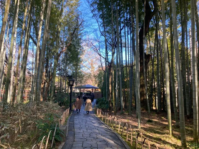 🌸🌺🌿🍃 Shuzenji 🌸🌺🌿🍃