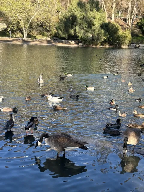 📍 Escape DTLA in 20 Minutes! 🌿 A Lung-Cleansing Paradise 