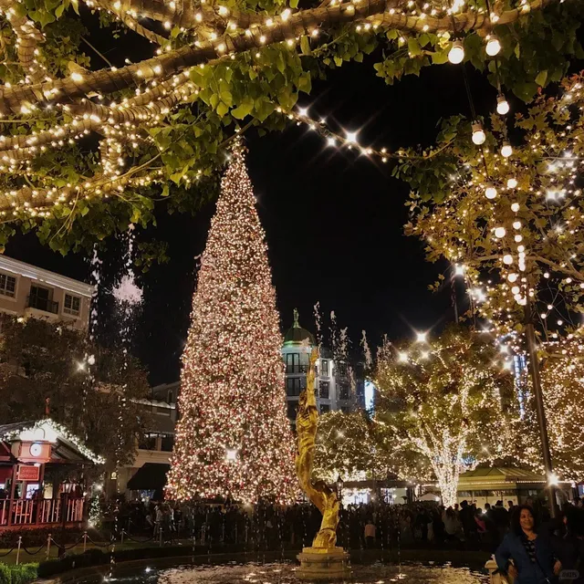 LA | Magical Christmas Light Displays & Ice Skating Under the Trees! 