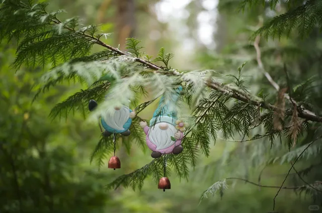 Seattle's Enchanting Gnome Trail Adventure 🧚✨  