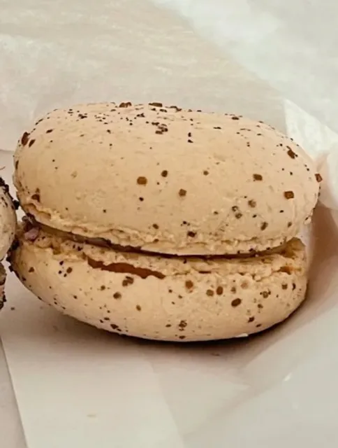 Marché de Macarons - Savannah's Pastel Perfection Parlors! 🎀✨